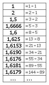 1000081128