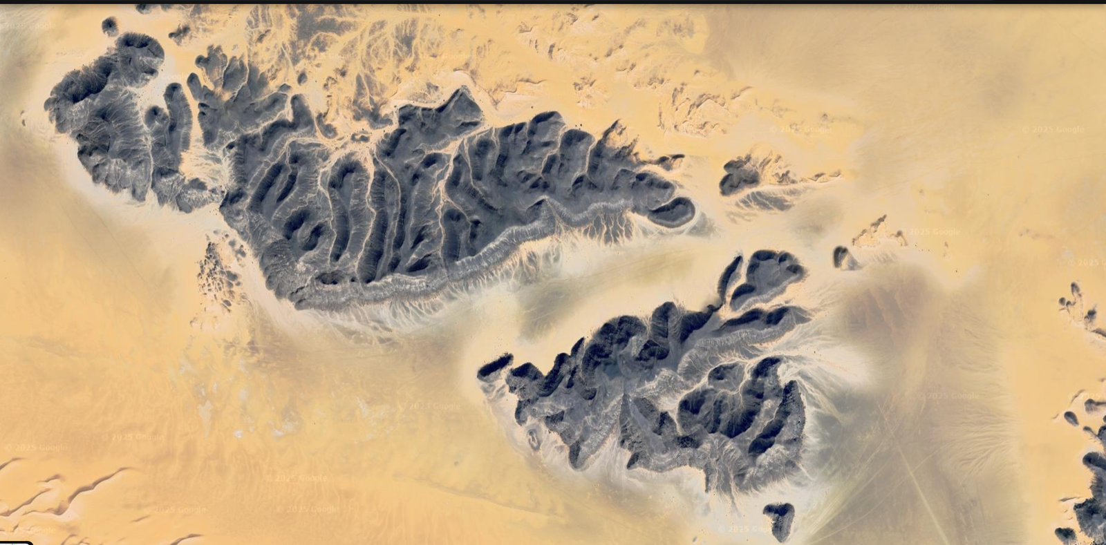 Screenshot 2025-08-15 115946