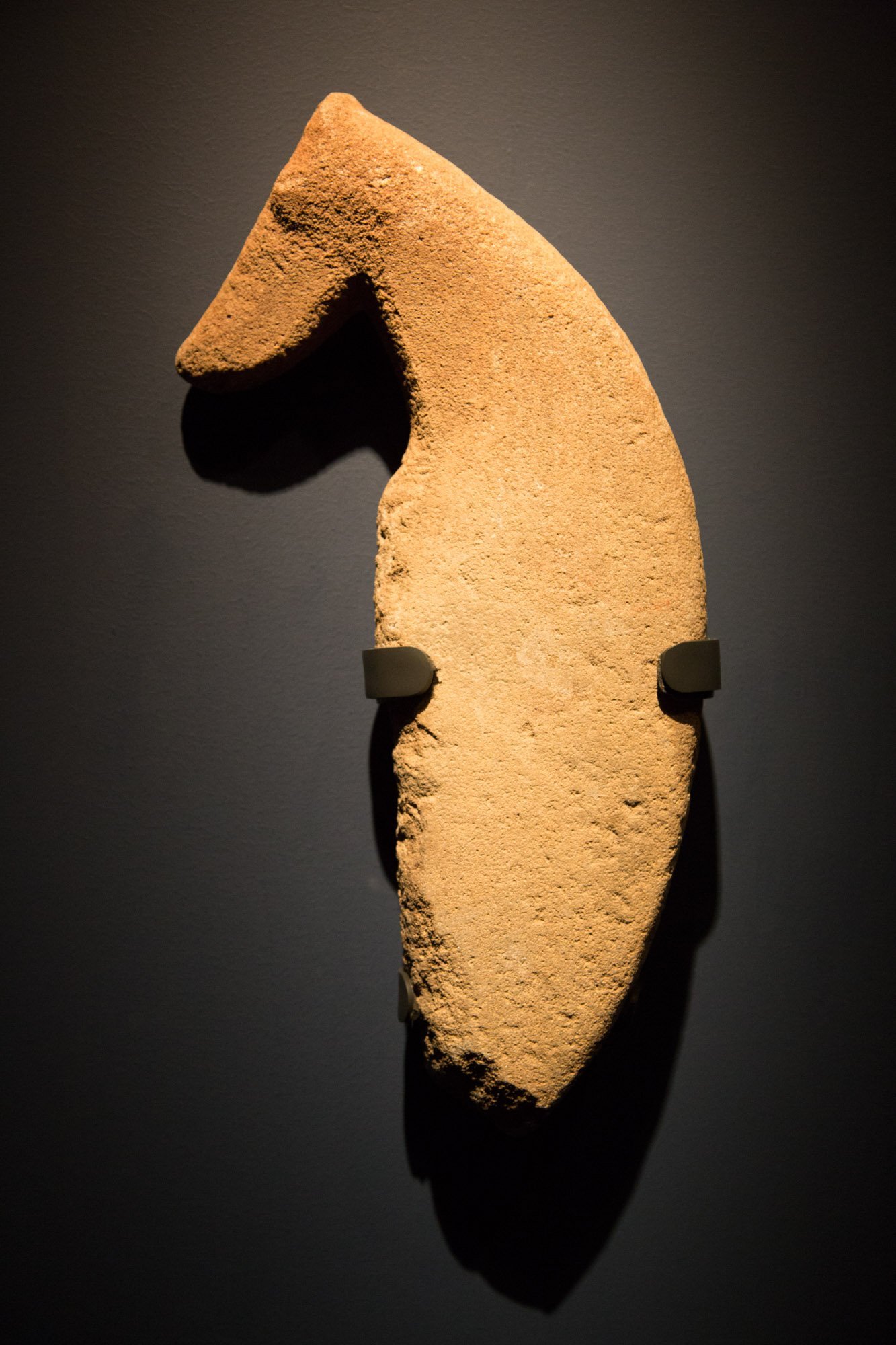 Al-Magar_-_Saluki_Artifact_(المقر_-_سلوقي_-_قطعة_أثرية)